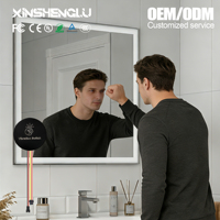 Miroir intelligent avec capteur de frappe |   DC 12V 5A 60W |   Cuivre |   Certifié CE |   OEM ODM XINSHENGLU |   Contrôle des vibrations |   Classement IP21 |