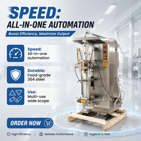 Automatische vloeistofzakjes vul- en verzegelmachine, volautomatisch, 500ml, PLC-gestuurd, roestvrij staal, voor water, melk, sap, bier