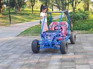 <span class=keywords><strong>Dune</strong></span> Buggy <span class=keywords><strong>Comprar</strong></span> 1000W Eléctrico Go Kart Eléctrico 2 Plazas Go Kart Para Niños - Product Image 5