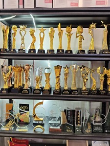 ถ้วยรางวัลเรซิ่นคริสตัลสั่งทำพิเศษ สลักชื่อฟรี สำหรับงานประจำปีของบริษัท การมอบรางวัลพนักงาน การแข่งขันร้องเพลง/เต้นรำ - Product Image 3