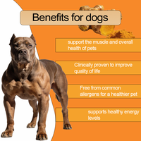 Race Dog Muscle Gain Chews : Complément Protéiné pour la Prise de Masse Musculaire – Friandises Molles à Mâcher pour Chiens