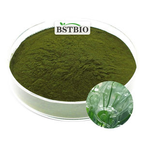 BSTBIO食品级海洋浮游植物EPA 2% 蛋白40% 纳米绿藻粉 - Product Image 1