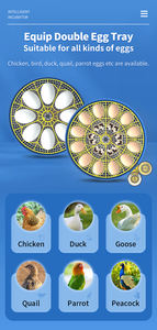 WONEGG <span class=keywords><strong>2026</strong></span> Novo Design Quail Duck Chicken Egg Incubadora Itália Quail Egg Incubadora Pequena - Product Image 2