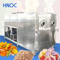 HNOC Industriële Vriesdroogmachine voor Fruit en Groenten, 200kg