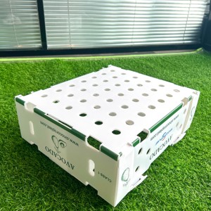 Fresh Vegetables and Fruit Plastic PP Corrugated <strong>Box</strong> Avocado <strong>Packgeing</strong> <strong>Box</strong> - Product Image 5