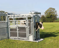 Super Standard Étrier de col et de compression pour bétail de 6 pieds de hauteur, portable, traité thermiquement, avec modélisation 3D, à vendre