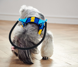 Anillo de choque para mascotas ciegas para perros, anillo de choque para gatos y perros, anillo de protección para animales - Product Image 1