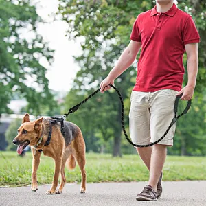 Kişiselleştirilmiş özel en ağır naylon Polyester hiçbir çekme tırmanma halat kurşun köpek eğitim tasma karabina kanca ile