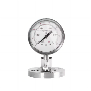 Manômetro de Pressão Diferencial em Aço Inoxidável com Preço de Fábrica - Product Image 5