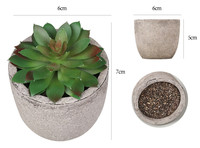 Offre Spéciale plantes succulentes élégantes plantes vertes Table artificielle décoration intérieure en Pot Mini bonsaï Pot de fleur