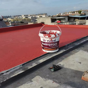 NBS-135 Red Waterproof Coating For Exterior Outdoor Roof/Housetop/Wall Color Paint