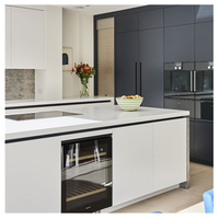 Ensemble d'armoires de cuisine élégantes avec un design d'organisation optimisant l'espace pour appartements, villas et maisons