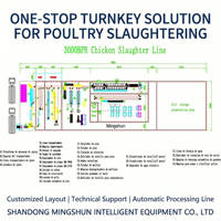 Machine d'abattage automatique de poulets, équipement de ligne d'abattage de volailles, machine à plumer les poulets automatique