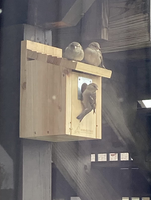 Vente flash - Décoration de jardin - Nid d'oiseaux en bois de sapin de qualité supérieure - Boîte de nidification en bois naturel - Cage de reproduction pour oiseaux - Pour l'extérieur