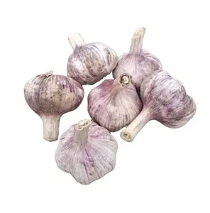 Selected quality garlic 55/60mm price per ton China garlic town offer