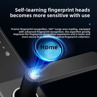 TOPTEQ P60 Smart Lock Poignée à double roulement WiFi Connecté Combinaison Déverrouiller Smart Cerradura Inteligente pour Maison Appartement