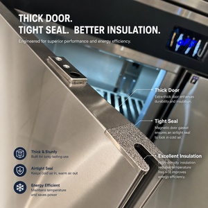 Refrigerador Comercial Estándar Europeo R290, Congelador de Acero Inoxidable de Bajo Consumo para Restaurante ADX - Estilo a, Totalmente en Cobre - Product Image 2
