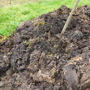 Vermicompost ปุ๋ยอินทรีย์สำหรับพืชที่มีคุณภาพสูงผลิตในปากีสถาน - Product Image 6