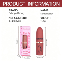 Nouvel Arrivage Rouge à Lèvres Bullet Végétalien Imperméable Fini Mat Velours Givré Anti-transfert Aspect Naturel Gloss à Lèvres Effet Brume Personnalisé OEM