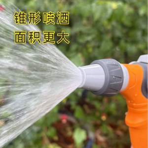 Pistola de agua de alta presión para lavado de autos Bluebird BB-2110A con ángulo ajustable para lavado automotriz - Product Image 4