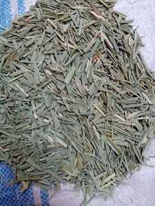 High Quality Raw Lemongrass <b>Herb</b> Directly Processed From Our Farm with Fast Delivery Popular in Egypt Factory Supervision - Product Image 3