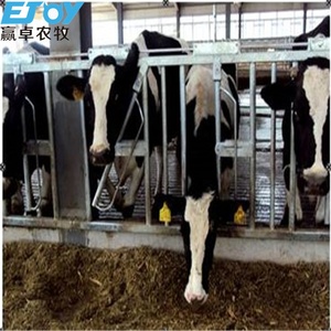 Prefab thép cấu trúc gia súc Barn chìa khóa trao tay Bò trang trại giải pháp cho gia súc nhà thiết kế - Product Image 6