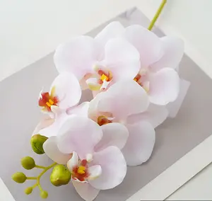 Orquídea artificial bonsai, venda direta de fábrica, plantas de orquídea bonsai, suculento em vaso para decoração interna