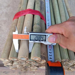 Supports en bambou naturel en gros : Canes de bambou Tonkin et piquets de bambou pour la pépinière, pour le soutien des tomates et des fleurs - Product Image 1