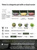 Pot Bunga Resin Desain Minimalis Rustic Sederhana Bentuk Teratai Tiga Kaki Wadah Dangkal Pengontrol Akar Pot Meja Besar