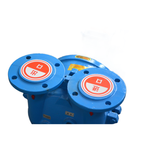 Bomba de Vacío de Anillo Horizontal BOYUAN Serie 2BV 2BV5131 de Hierro, Bajo Consumo de Energía, Certificación ISO9001, 1 Año de Garantía - Product Image 5