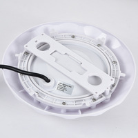 Lampu Kolam Renang Model Daun ABS dengan Peringkat IP68, Kontrol Warna RGB, Fluks Cahaya Tinggi 3600LM untuk Penggunaan Bawah Air Lanskap
