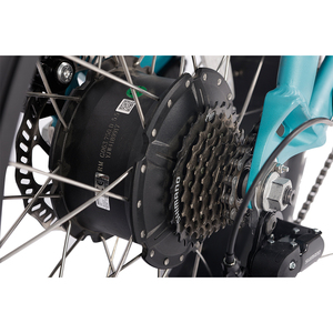มอเตอร์ขับเคลื่อนขนาดกลาง1000W 350W 750W 1000W ระบบกันสะเทือนแบบคู่250W - Product Image 5