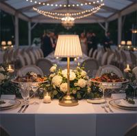 Lampe de table LED moderne Wolongmountain pour mariage, ampoule E14, capacité de batterie personnalisable, design simple, commande tactile, intensité réglable