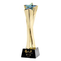 Trophée personnalisé en métal et résine en forme d'étoile pour la reconnaissance des réalisations d'entreprise, coupe de reconnaissance pour les employés et les concours