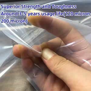 Telo in Plastica per Serra 200 Micron, Pellicola UV 100% Nuovo Materiale LDPE, <span class=keywords><strong>Film</strong></span> Agricolo per Protezione Ortaggi, Larghezza 8m, Impermeabile - Product Image 2