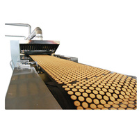 Ligne de production complète pour la fabrication de tous types de biscuits avec laminoir à pâte et mélangeur, capacité de 100 kg à 1500 kg/heure