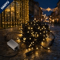 Guirlandes lumineuses décoratives étanches IP67 110V, 10 mètres, 100 ampoules, télécommande, effet ciel étoilé, pour extérieur, fabrication en usine