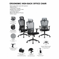 Chaise de bureau ergonomique avec support lombaire, design moderne, dossier en maille haute élasticité, réglable, pour bureau à domicile et école