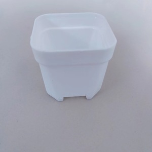 Macetas Cuadradas Blancas <span class=keywords><strong>de</strong></span> Plástico <span class=keywords><strong>de</strong></span> 4 cm <span class=keywords><strong>de</strong></span> Calibre para Plantas Suculentas, Mini Macetas Blancas para Cultivo <span class=keywords><strong>de</strong></span> Bonsáis - Product Image 1