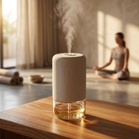 Nouveau diffuseur d'huiles essentielles sans eau pour la maison, nébuliseur d'air froid, machine d'aromathérapie, pulvérisation automatique, diffuseur d'arômes pour voiture