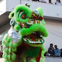 Accessoires de spectacle traditionnel pour adultes : Gong, cymbales, tête de lion chinois faite à la main sur mesure, ensemble complet offert