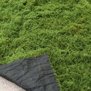 Tapis de mousse artificielle en gros, feuille de mousse verte pour aménagement extérieur, jardin, maison, fournitures décoratives DIY - Product Image 3