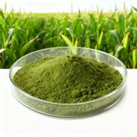 Nématicide agricole Paecilomyces Lilacinus, usine YIDA Biotech, approvisionnement en vrac avec une durée de conservation de 12 mois pour toutes les cultures