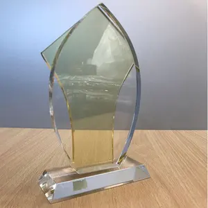 Trofeo di premio acrilico personalizzato di forma personalizzata