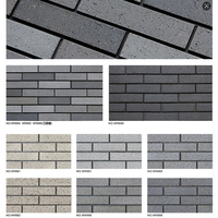 Briques en Céramique Résistantes aux Acides et au Feu pour Murs Extérieurs/Intérieurs Design Contemporain Porosité Solide Briques Fines Sèches