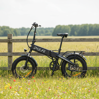 Livraison gratuite depuis l'entrepôt du Royaume-Uni et des États-Unis, vélo de montagne pliable électrique en alliage d'aluminium sans balais, batterie au lithium, pneu gras 20''*4.0 pouces, 48V 500W