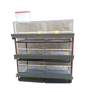 H Type Automatic Layer Chicken Poultry Farming Cage factory design
