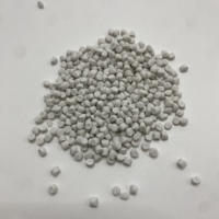 Masterbatch Alimentaire Haute Brillance pour Applications de Film Soufflé et de Moulage