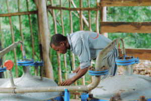 Huiles essentielles de Niaouli en marque privée, 100% pures et naturelles, durée de conservation de 3 ans, origine Madagascar, impact social, ESG - Product Image 5