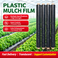 Agrarische geperforeerde plastic mulchfolie, zilver-zwarte mulchfolie met voorgeperforeerde gaten voor groente- en fruitirrigatie